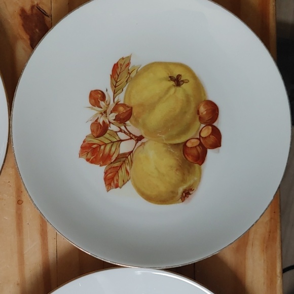 Set Of 6 Bareuther Waldsassen Bavaria Germany Fruit Nuts Salad Plates. - Picture 2 of 8